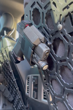 Universal Pistol Mount